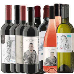 סדרת 12 יינות לזכר נופלים במלחמת חרבות ברזל