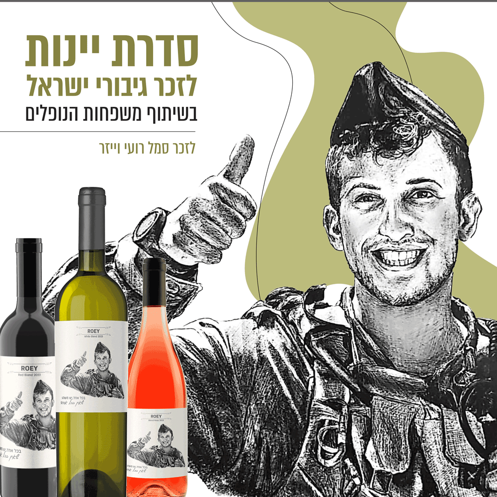 לזכר-סמל-רועי-וייזר-(3)