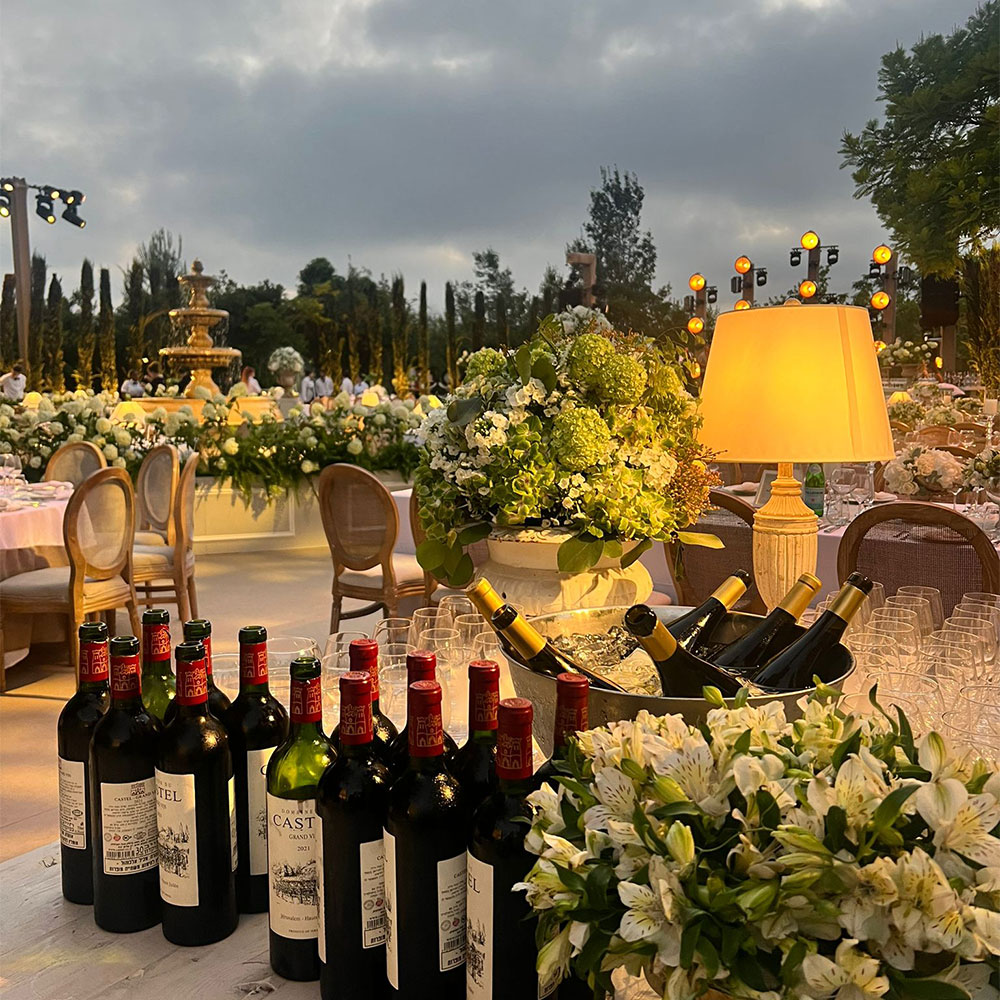 יערות-הכרמל