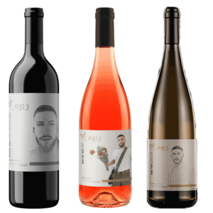 שלישיית יינות לזכר נועם חבה